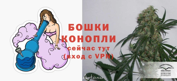apvp Богородск