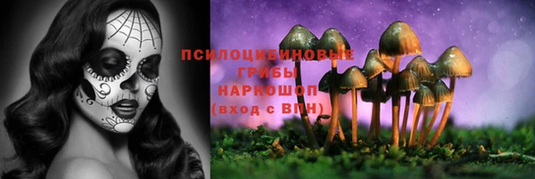 мдма Богородицк