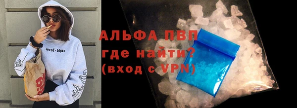 сатива Богданович