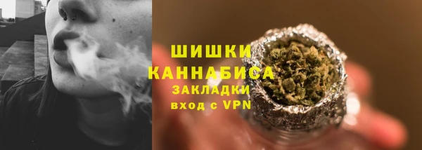 сатива Богданович