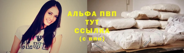 сатива Богданович