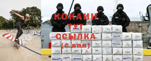 сатива Богданович