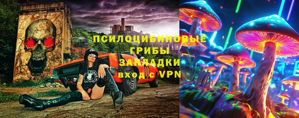 сатива Богданович