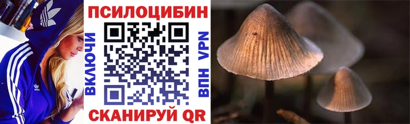 площадка Telegram  закладки  hydra маркетплейс  Пыть-Ях  Псилоцибиновые грибы мухоморы 